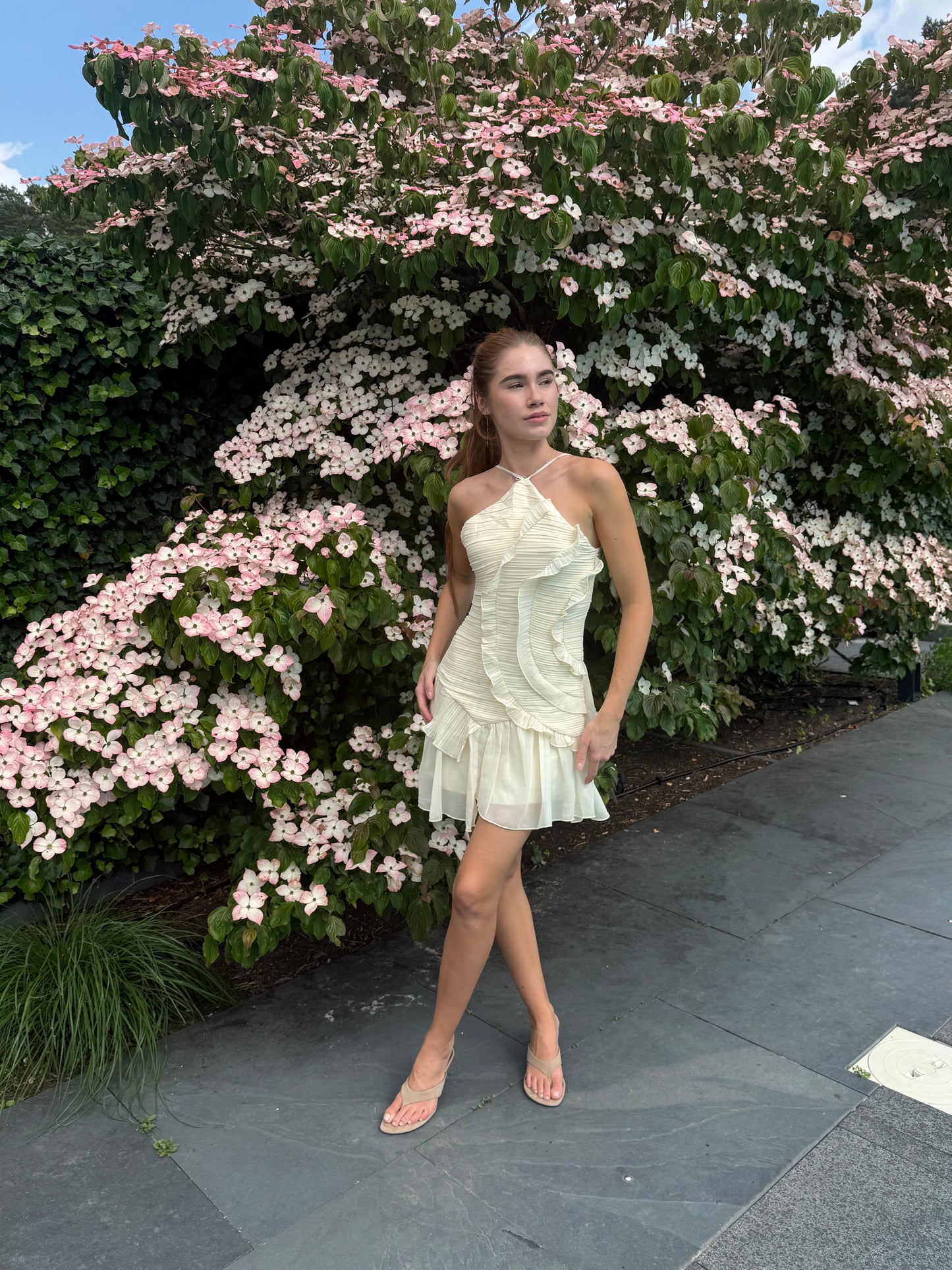 Bella Dress